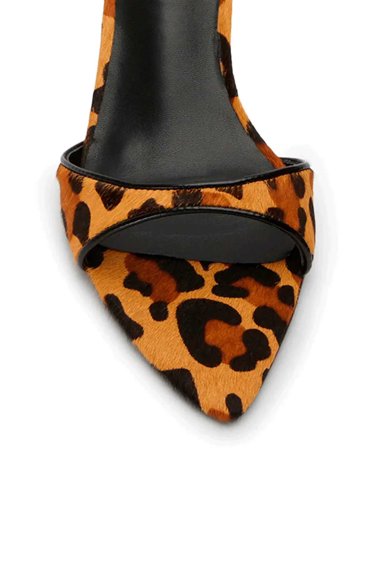 FIESTA LEOPARDO
