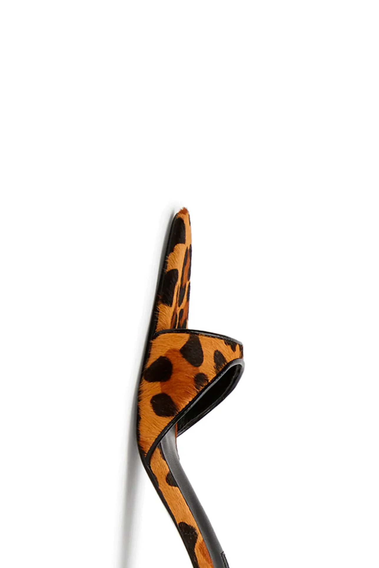 FIESTA LEOPARDO