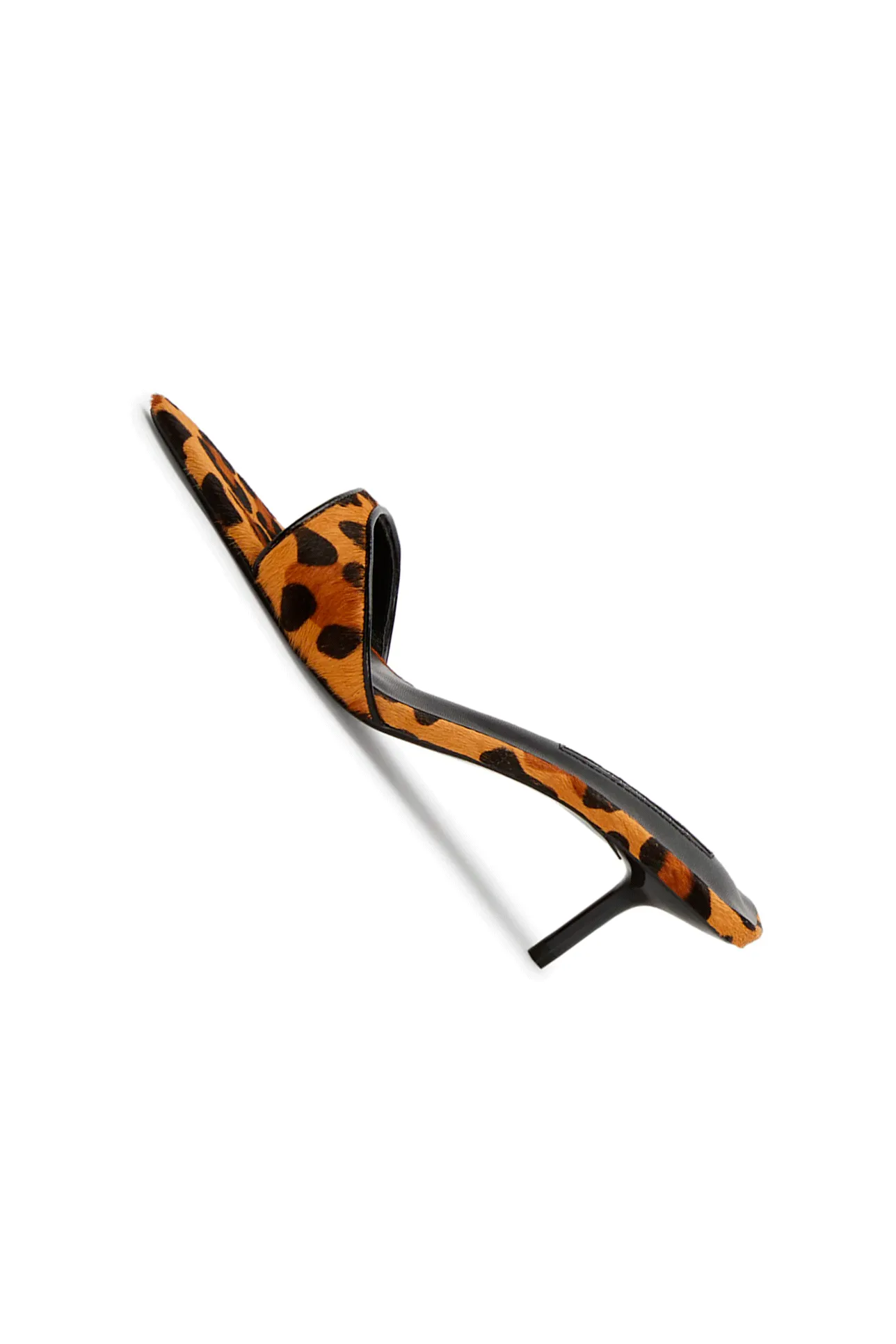 FIESTA LEOPARDO