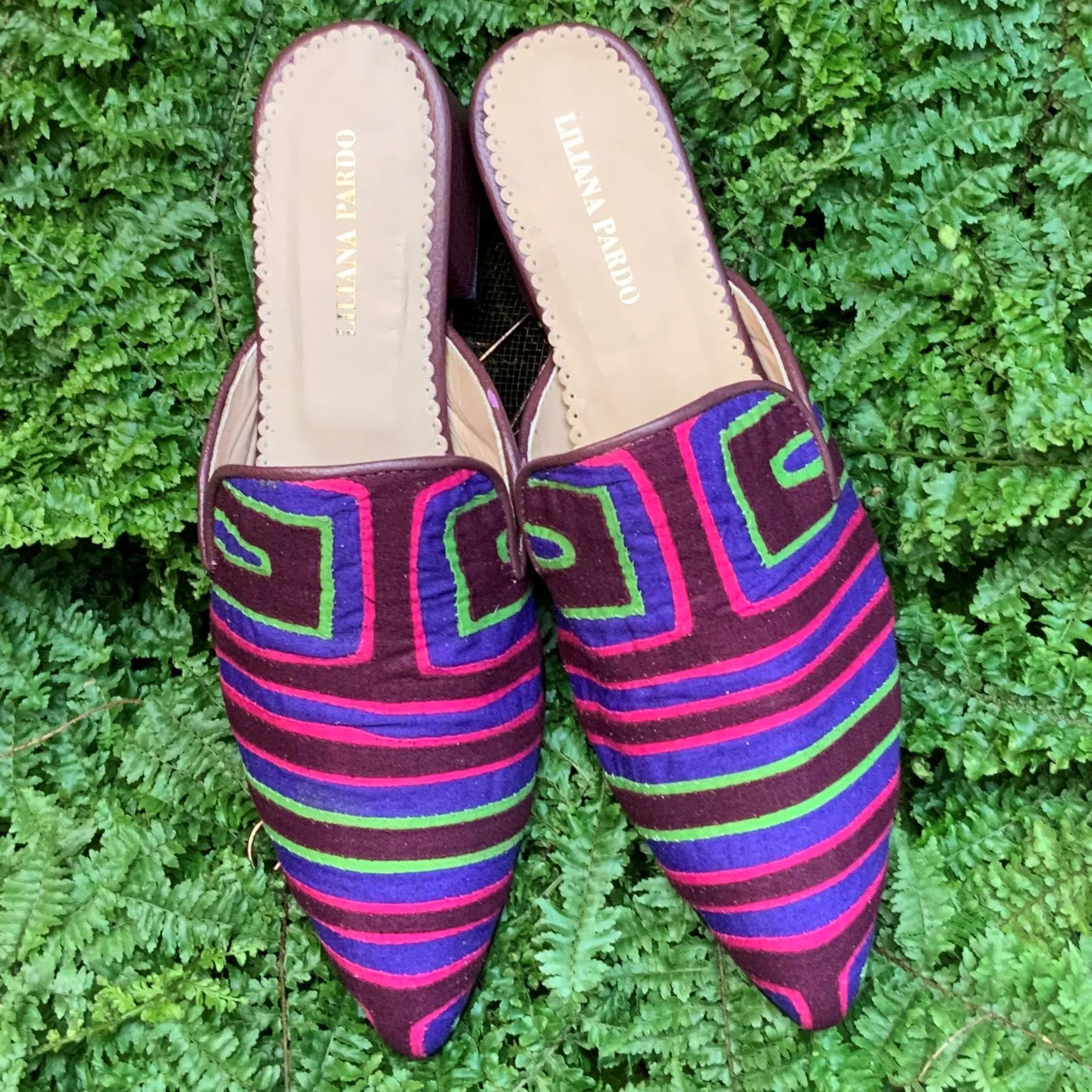 Mola Mule | Wine Multicolor