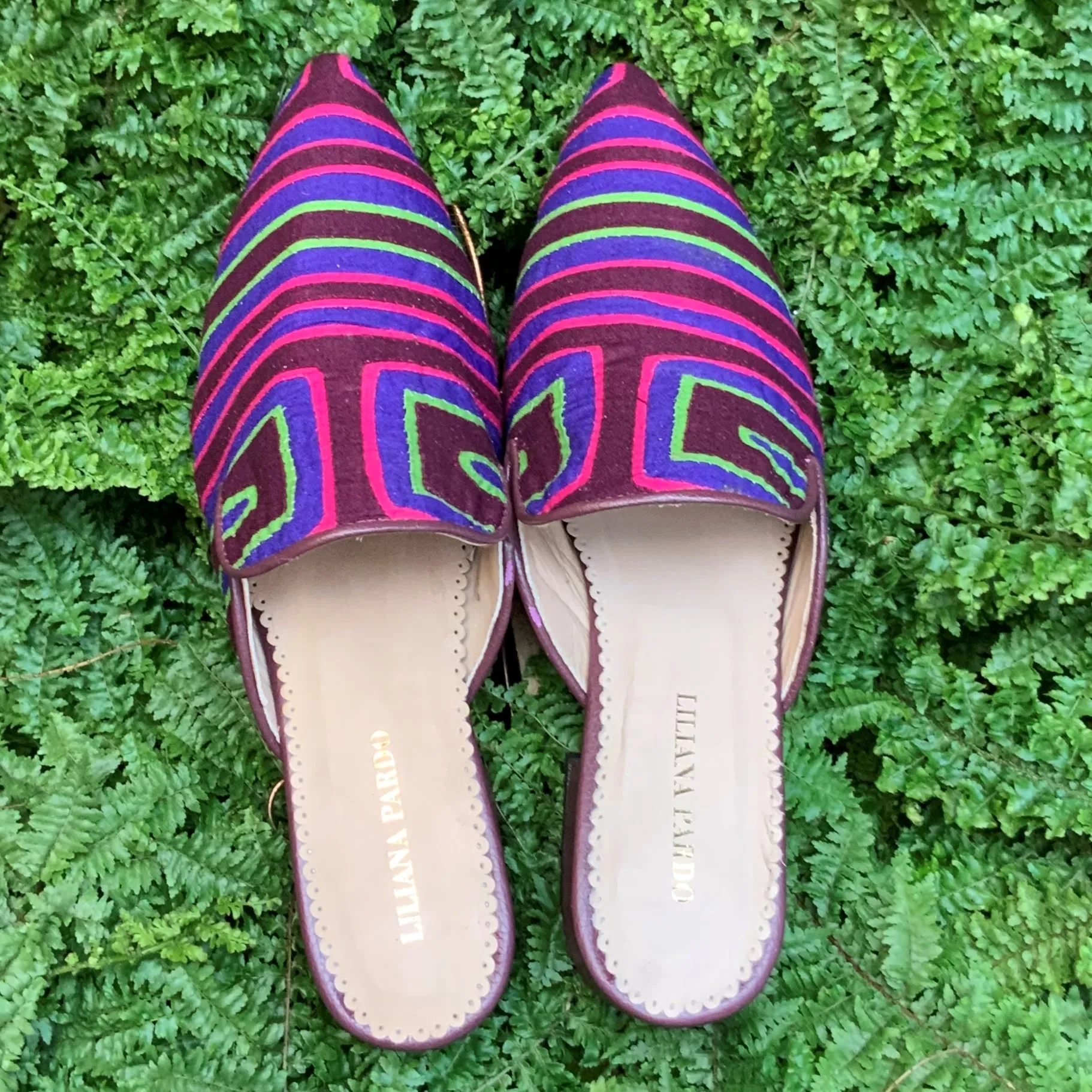 Mola Mule | Wine Multicolor