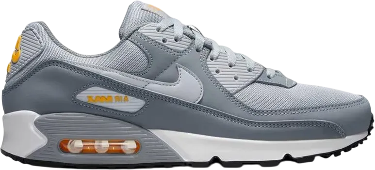 Nike Air Max 90  Cool Grey