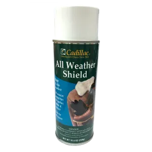 Rain & Stain Cadillac Water Shield Spray