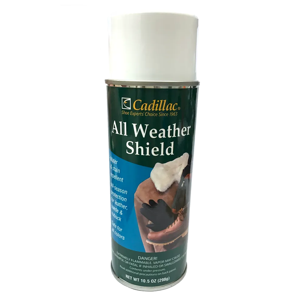 Rain & Stain Cadillac Water Shield Spray