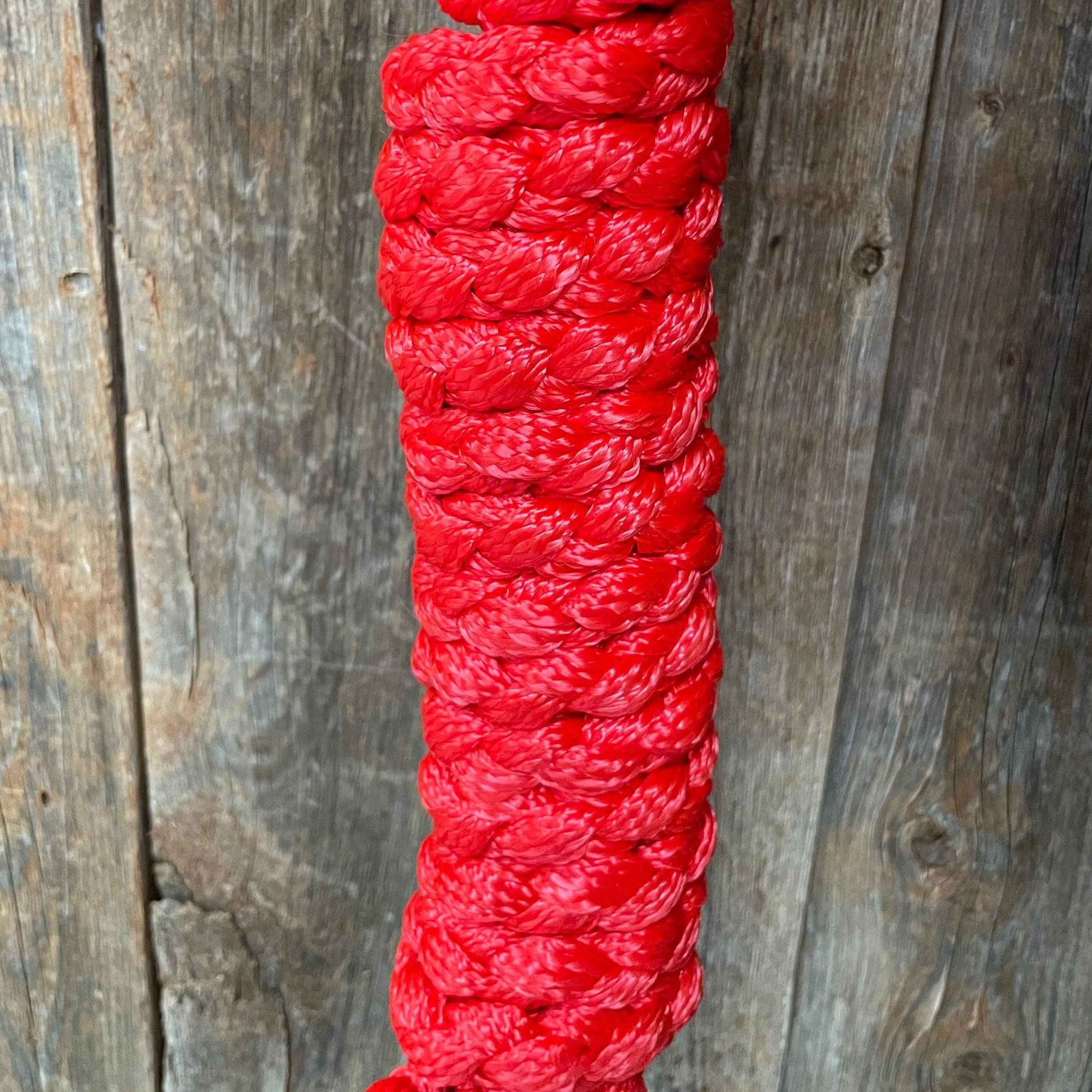 Red Mule Tape Halter