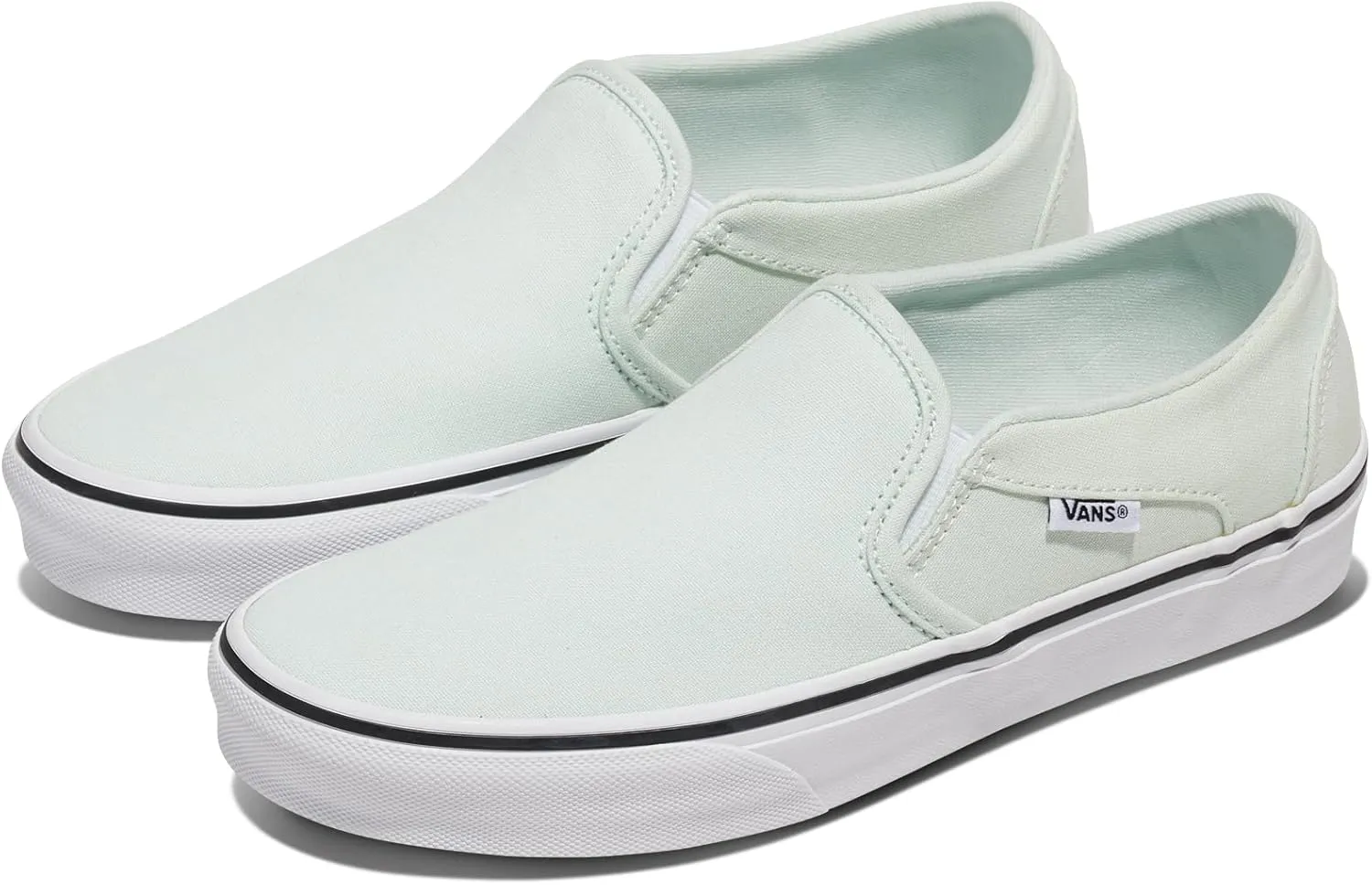 Vans Women's Asher Slip-On Shoe