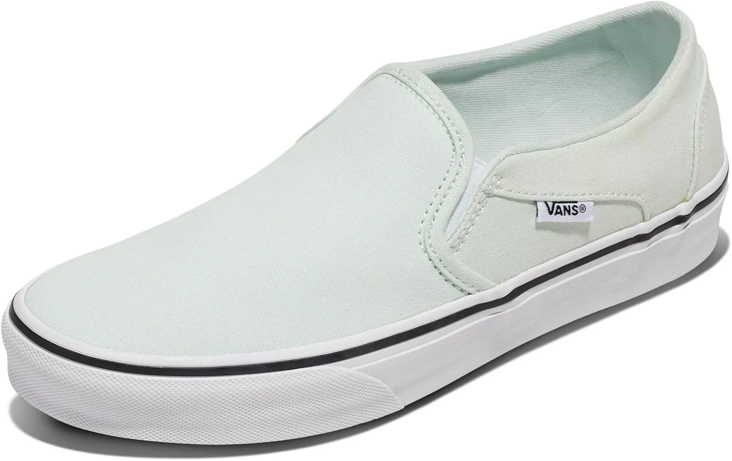Vans Women's Asher Slip-On Shoe
